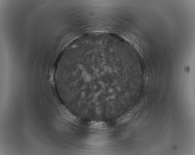 X0000095510185200712141431