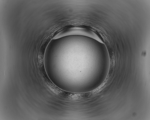 X0000095510186200712141431