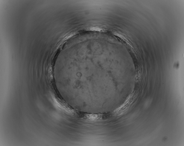 X0000095510187200712141432