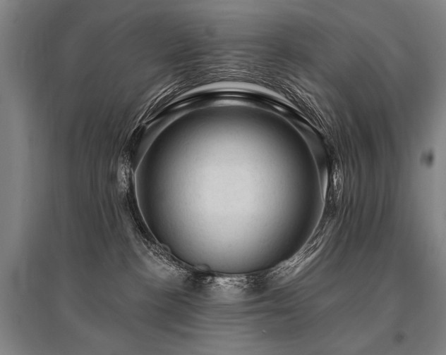 X0000095510188200712141432