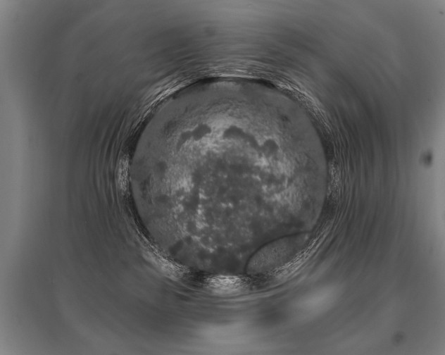 X0000095510189200712141432