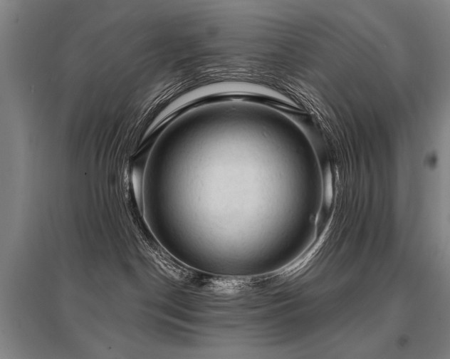 X0000095510190200712141432