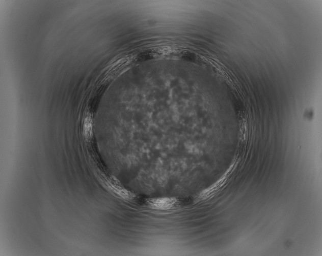 X0000095510191200712141432