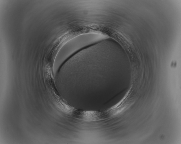 X0000095510192200712141432