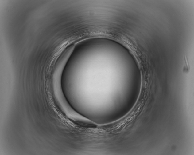X0000095510193200712141431