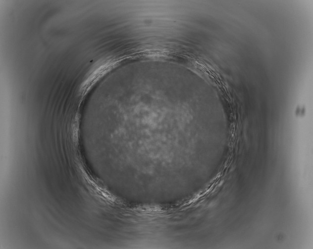 X0000095510194200712141431