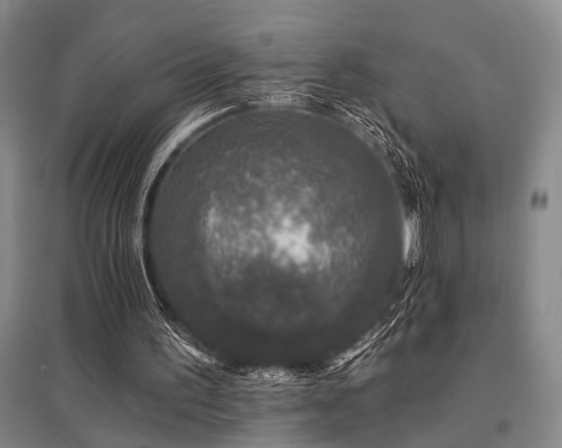 X0000095510195200712141431
