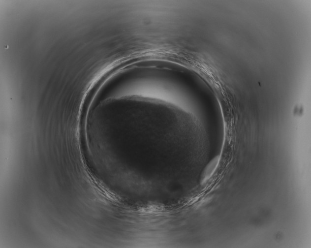 X0000095510196200712141431