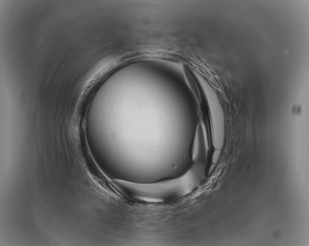 X0000095510197200712141431