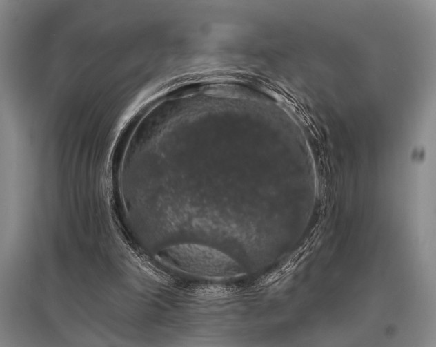 X0000095510198200712141431