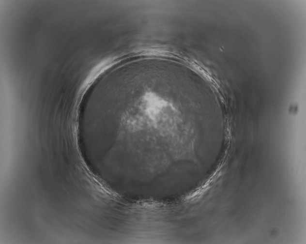 X0000095510199200712141431