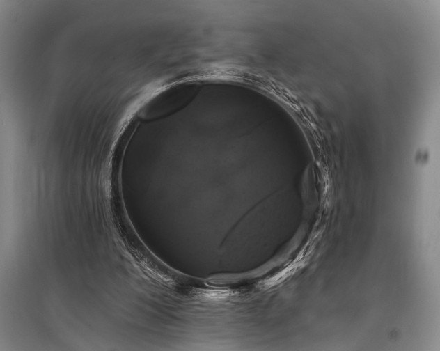 X0000095510200200712141431