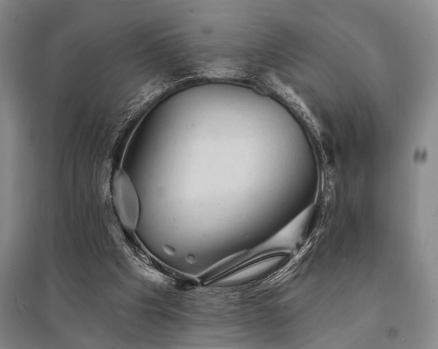 X0000095510201200712141431