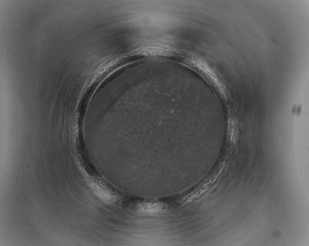 X0000095510202200712141431