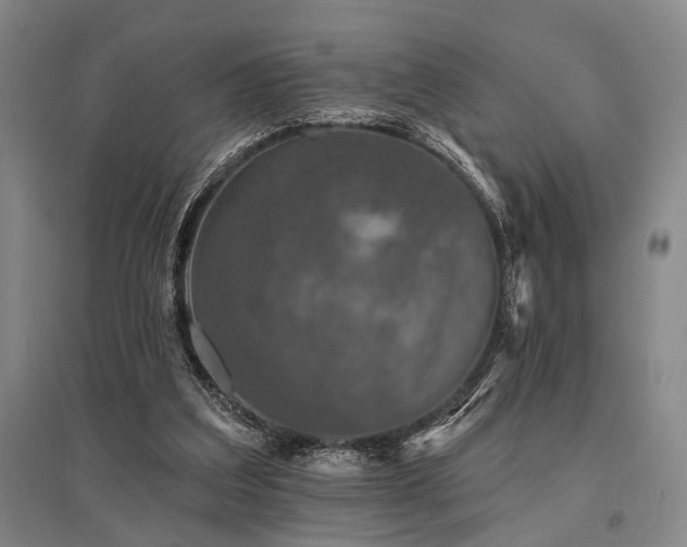 X0000095510203200712141431