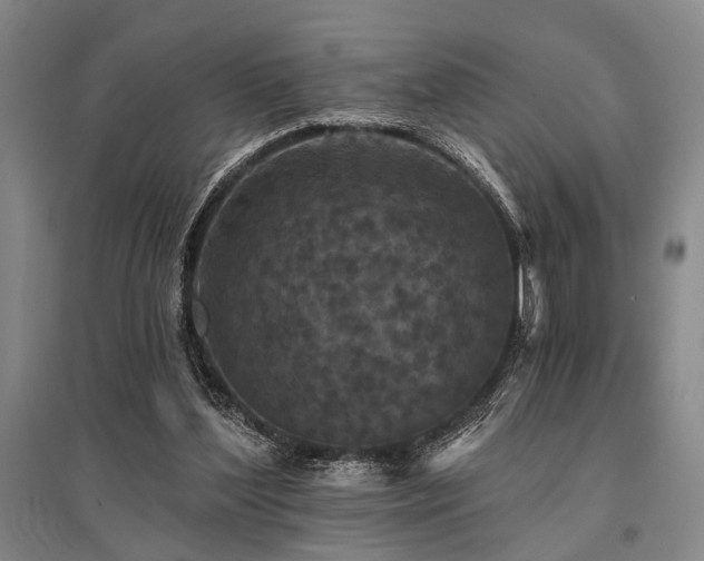 X0000095510204200712141431