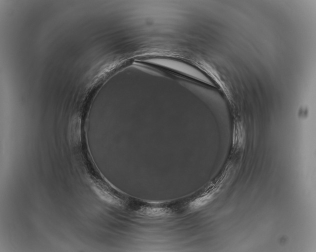 X0000095510205200712141431