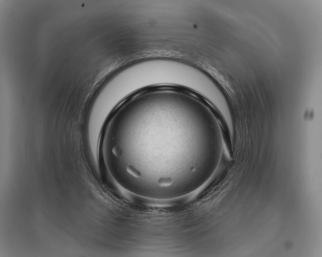 X0000095510207200712141431