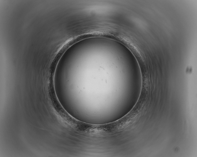 X0000095510208200712141431