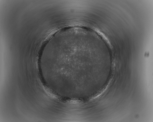 X0000095510209200712141431