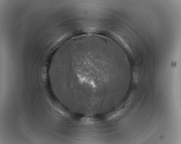 X0000095510211200712141431