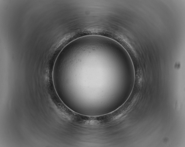 X0000095510212200712141431