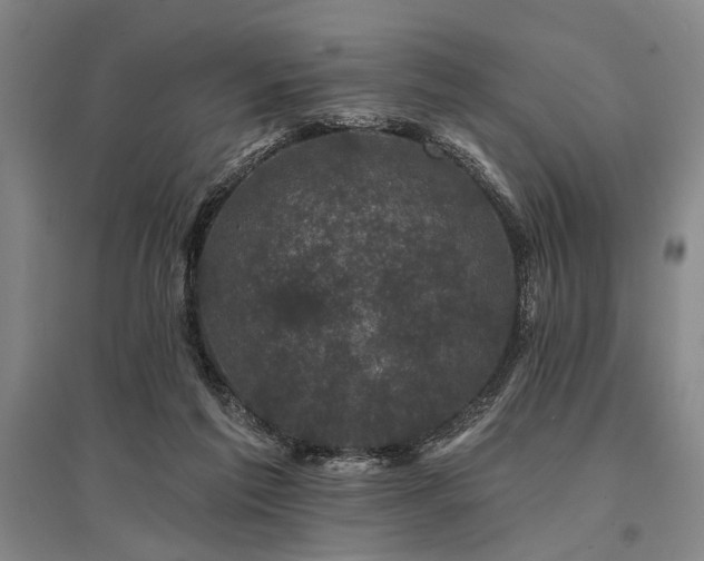 X0000095510213200712141431