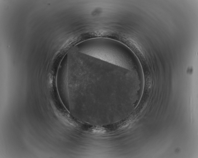 X0000095510214200712141431