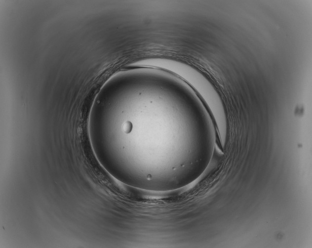 X0000095510215200712141431