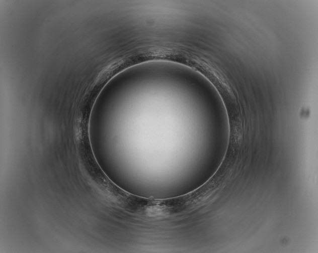 X0000095510216200712141431