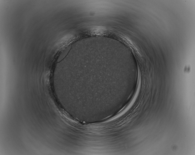 X0000095510217200712141431