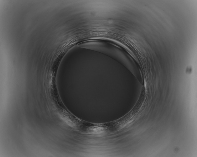 X0000095510219200712141431
