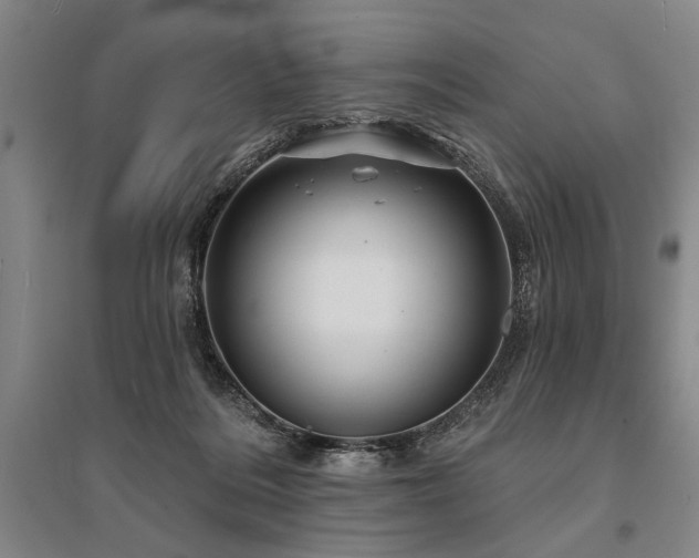 X0000095510220200712141431