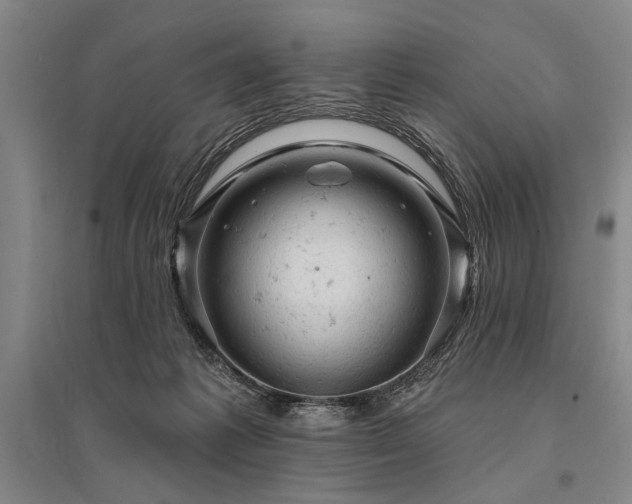 X0000095510221200712141431