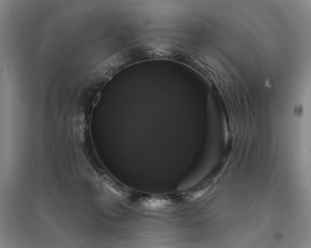 X0000095510223200712141430