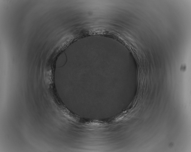 X0000095510224200712141430