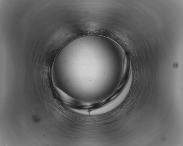 X0000095510225200712141430
