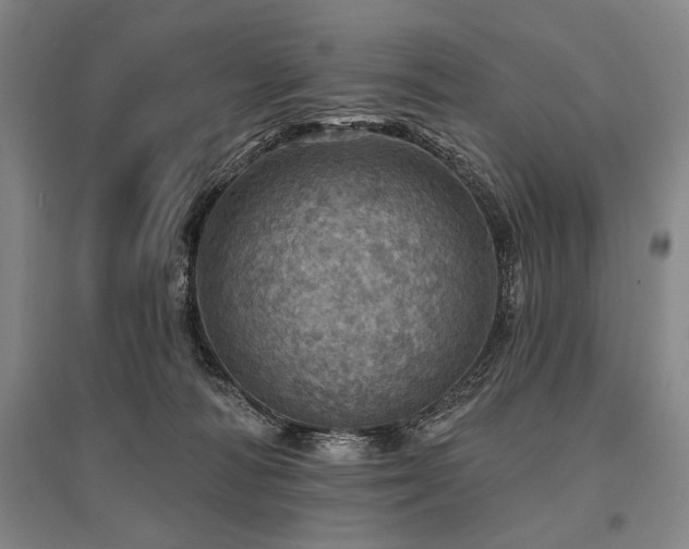X0000095510226200712141430