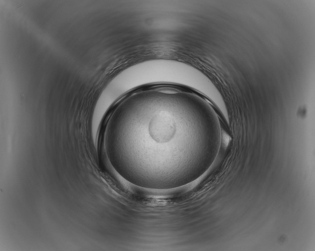 X0000095510227200712141430