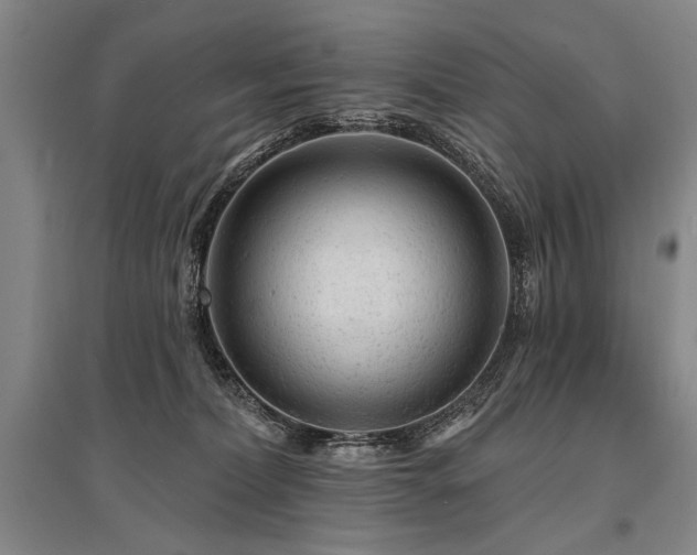X0000095510228200712141430