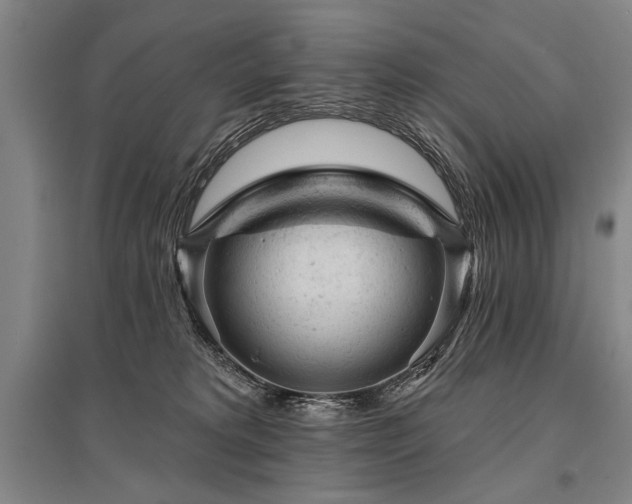 X0000095510229200712141430