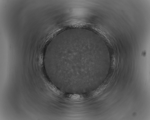 X0000095510230200712141430