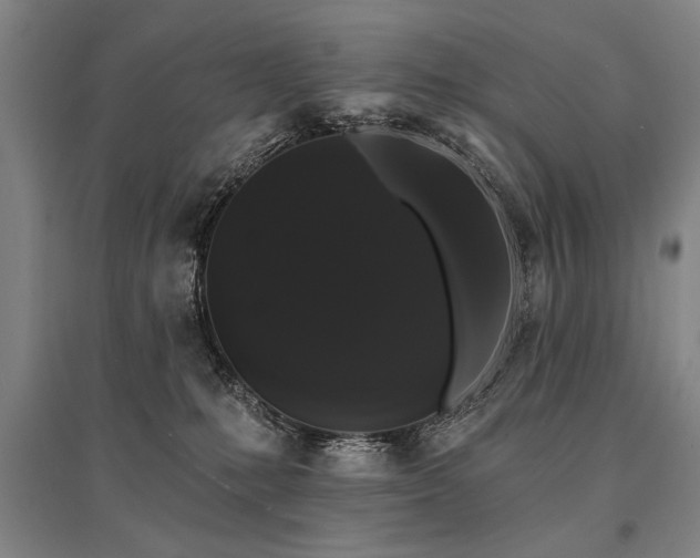 X0000095510231200712141430