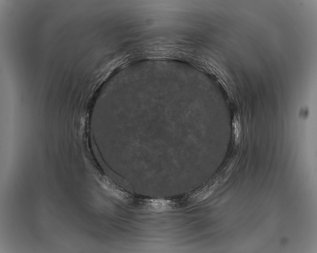 X0000095510233200712141430