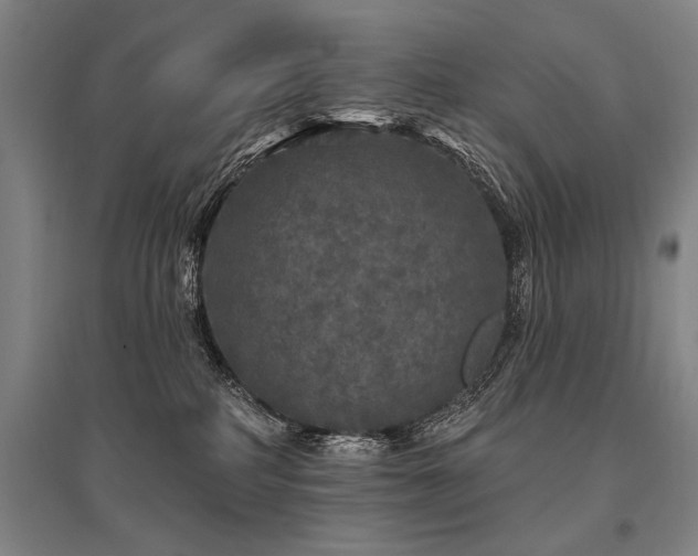 X0000095510234200712141430