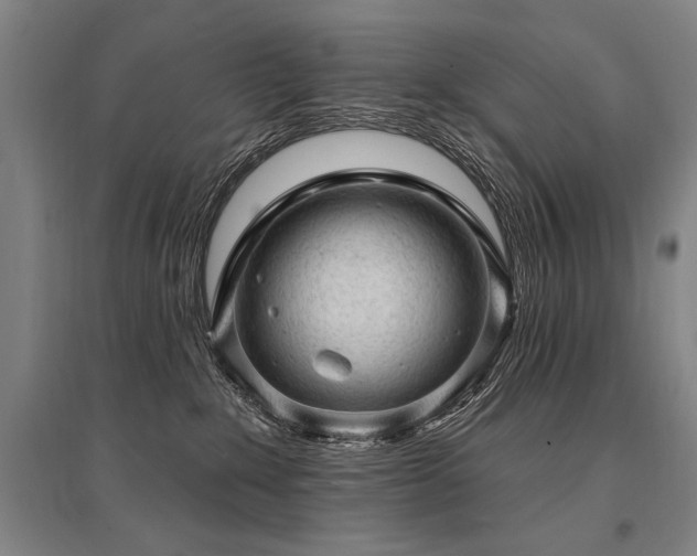 X0000095510235200712141430