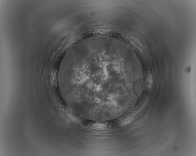 X0000095510236200712141430