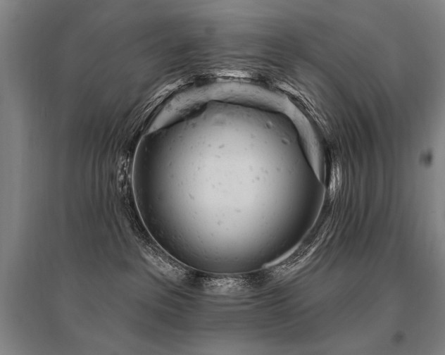X0000095510237200712141430