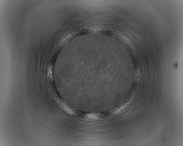 X0000095510238200712141430