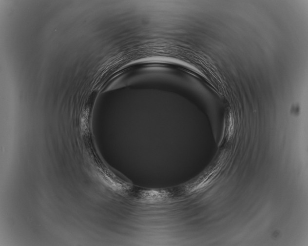X0000095510239200712141430